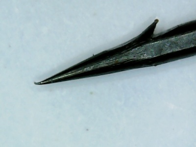 0109-10.jpg
