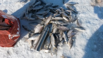 20150228_103452.jpg