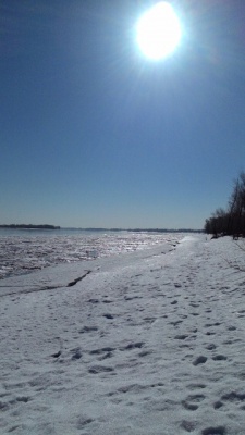P_20150328_095339.jpg
