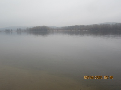 IMG_5175.JPG