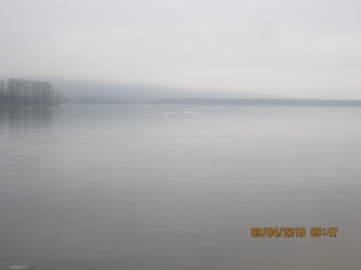 IMG_5176.JPG