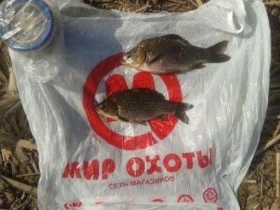 КАРАСЬ 1-1.jpg