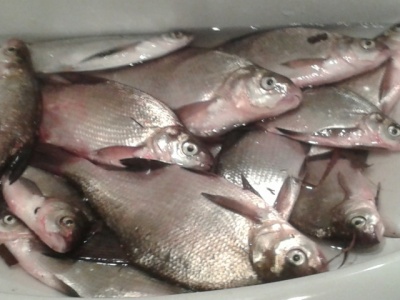 20150511_191146.jpg