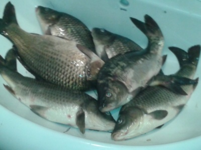 20150527_193205.jpg