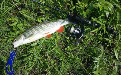 20150628_113757.jpg
