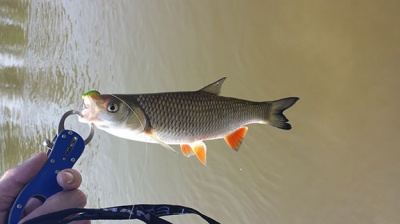 20150628_114528.jpg
