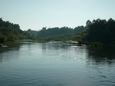P1090525.JPG