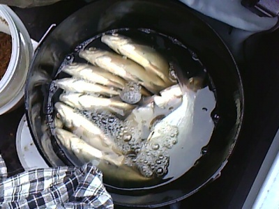 IMG0645A.jpg