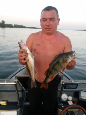 20150728_203037.jpg