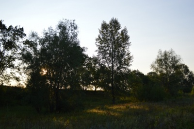 DSC_0763.jpg