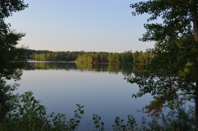 DSC_0767.jpg