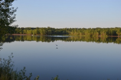 DSC_0768.jpg