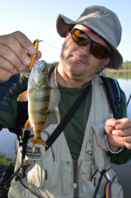 DSC_0784.jpg