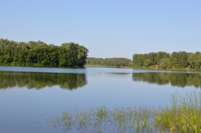 DSC_0798.jpg