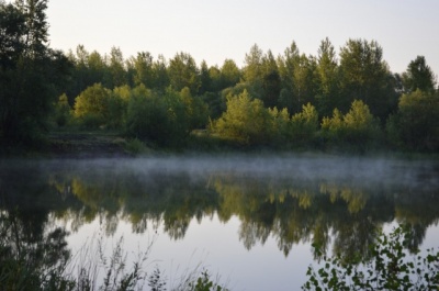 DSC_0771.jpg