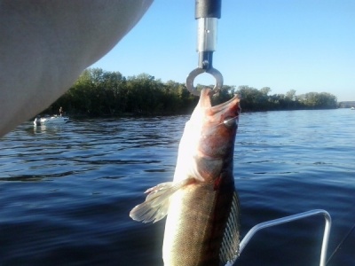 20150815_181832.jpg