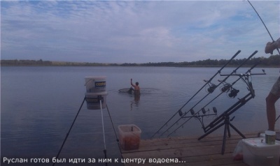 2500da136d29.jpg