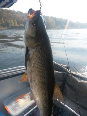 20150927_125245.jpg