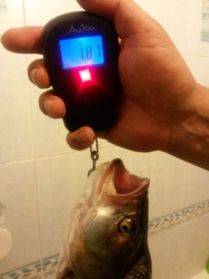 20150927_164433.jpg