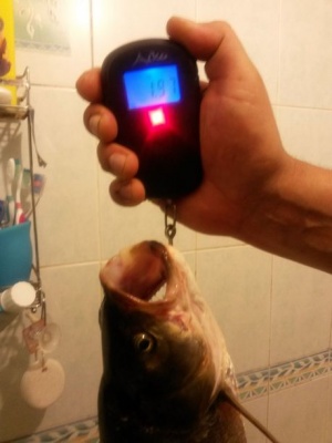 20150927_164509.jpg
