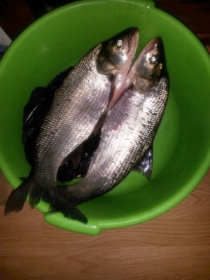 20150927_180957.jpg
