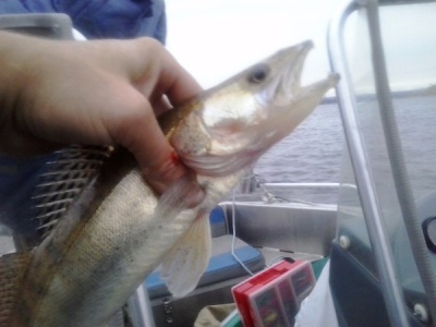 20150930_174111.jpg