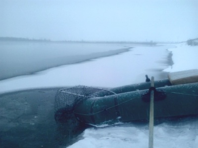 20151114_081527.jpg