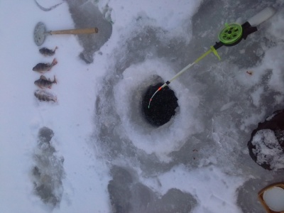 20151221_160848.jpg