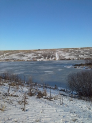 20151226_112422.jpg