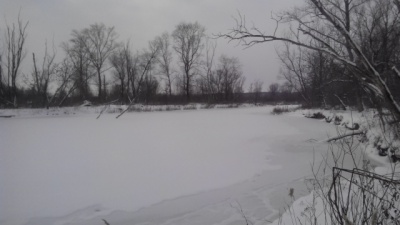 IMG_20160106_103036.jpg