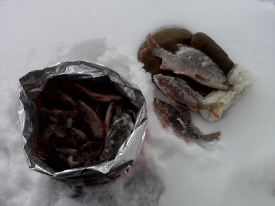 P07-01-16_12.06.jpg