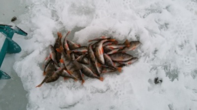 20160206_173459.jpg