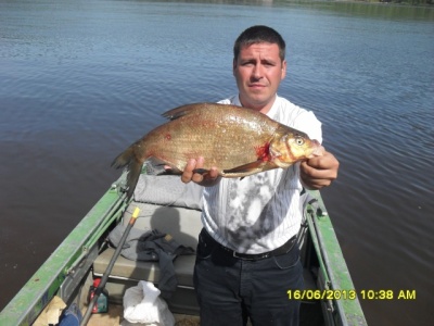 SDC12787.JPG