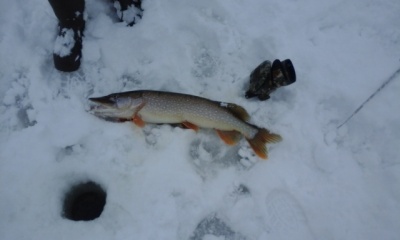 20160131_090644.jpg