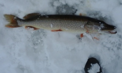 20160131_090757.jpg