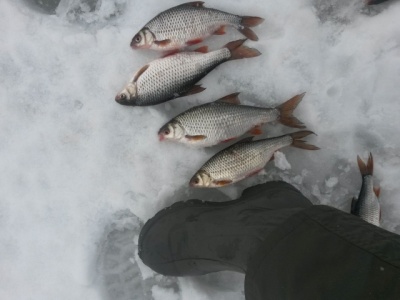 20160305_161342.jpg