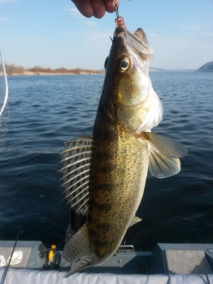 20160413_154915.jpg