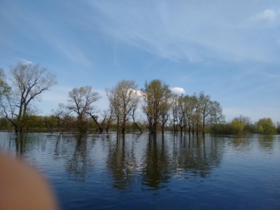 2016-05-06 12.32.13.jpg