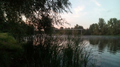 IMG_20160825_055026.jpg