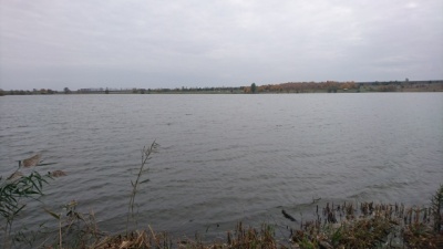 DSC_0103.JPG