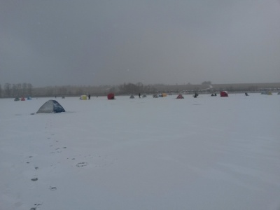 20161126_115504.jpg