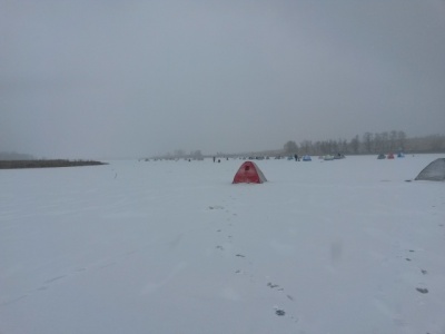 20161126_115517.jpg
