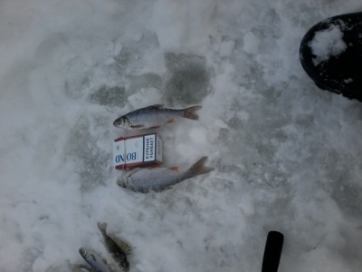 20170212_160647.jpg