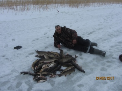 IMG_3367.JPG