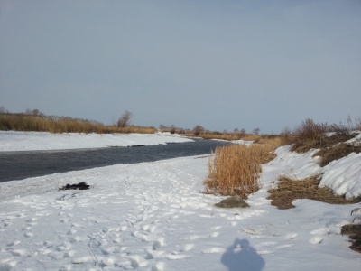20170331_084020.jpg