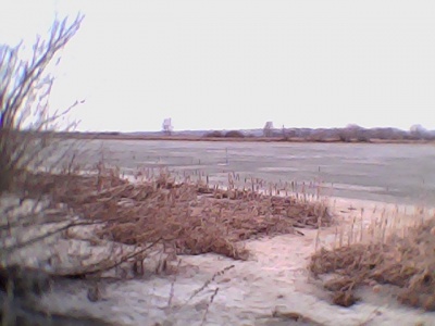 DSC_0000038.jpg