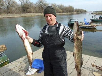 DSCF1677.jpg