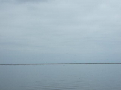 DSCF1690.jpg