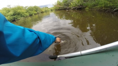 Image12.jpg
