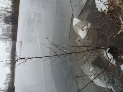 20171202_112337.jpg